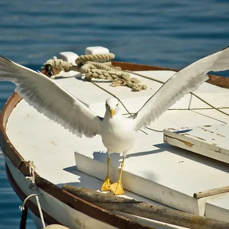 4827-2 For 4 Pers In Apartment *