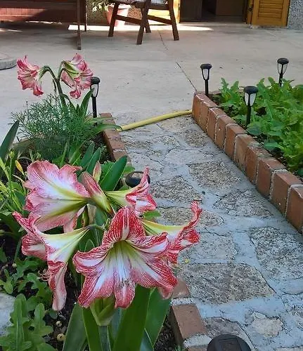 4827-2 For 4 Pers In * Nerezine