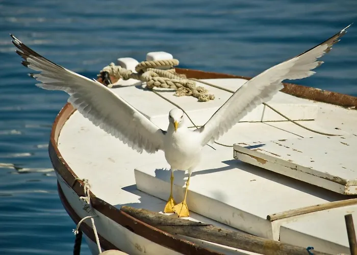 4827-2 For 4 Pers In Apartman *